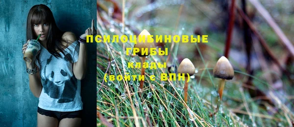 гидра Абаза