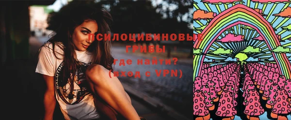 ГАЛЛЮЦИНОГЕННЫЕ ГРИБЫ Алексин