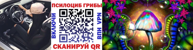 купить наркотик  Череповец  Галлюциногенные грибы GOLDEN TEACHER 